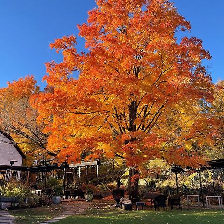 Domaine Jolivent Hotel Lac-Brome Kültér fotó