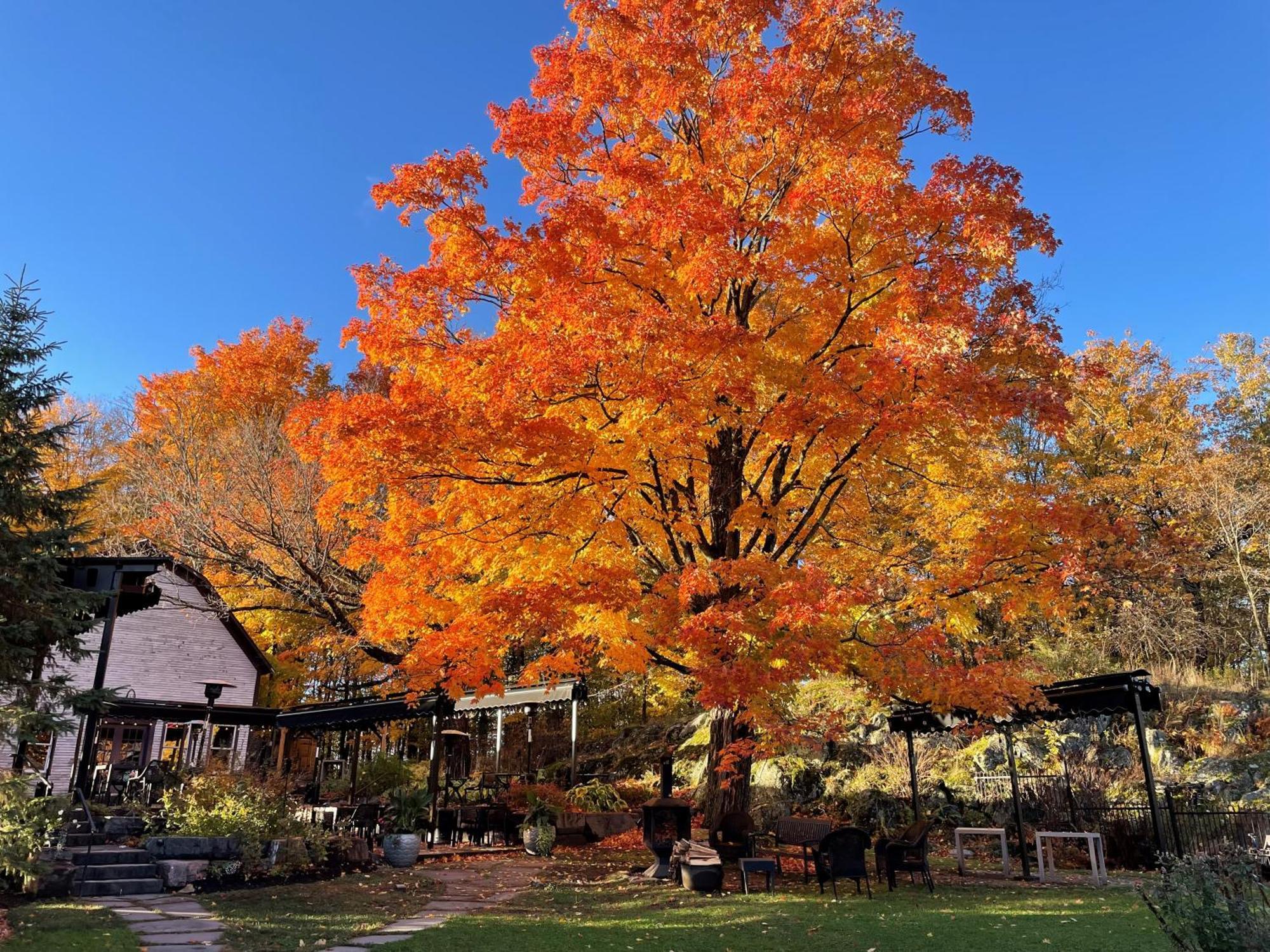 Domaine Jolivent Hotel Lac-Brome Kültér fotó